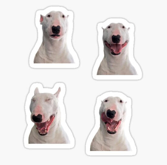 Mood Phases Sticker Sheet