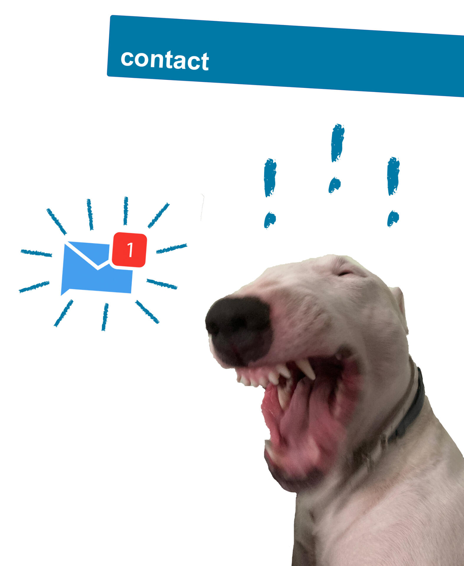 Contact Page Nelson